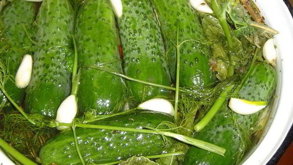 малосольные огурчики