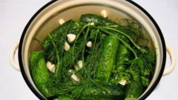 малосольные огурцы в кастрюле