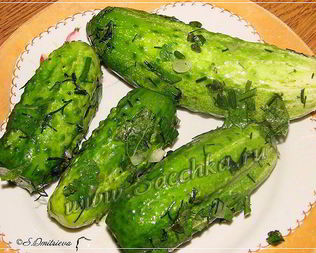 Малосольные огурцы в пакете