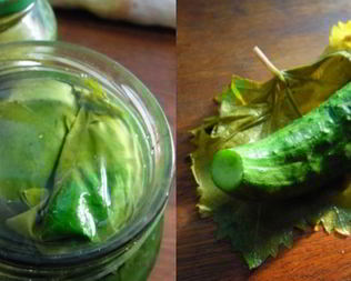 Малосольные огурцы в виноградных листьях