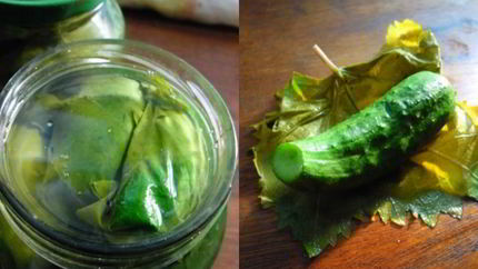Малосольные огурцы в виноградных листьях