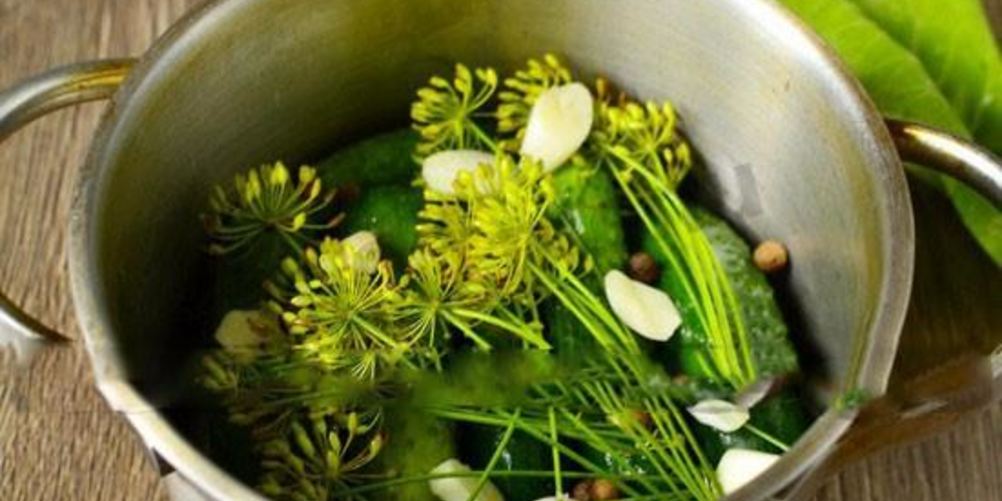 Рецепт огурчиков малосольных