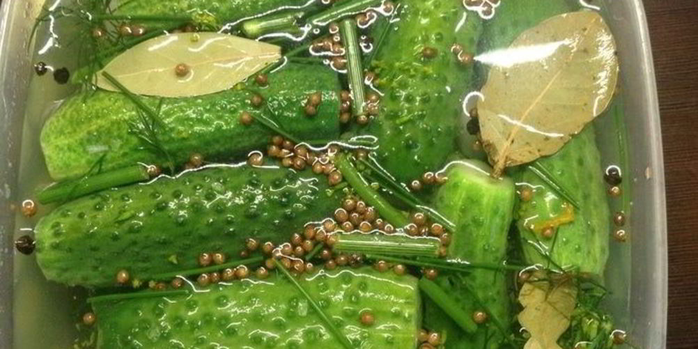 Рецепт огурцов малосольных летних на удачу