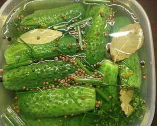 Огурцы малосольные летние На удачу