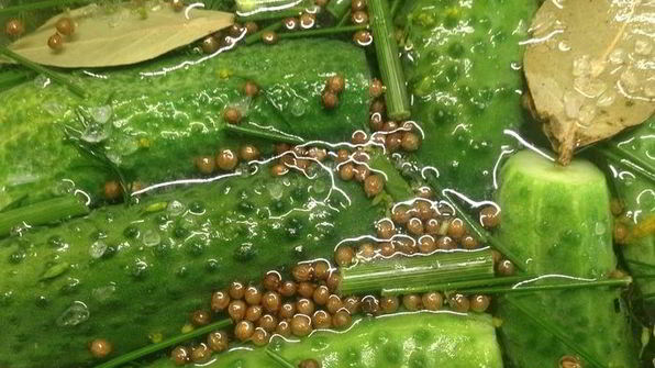 огурцы малосольные летние на удачу