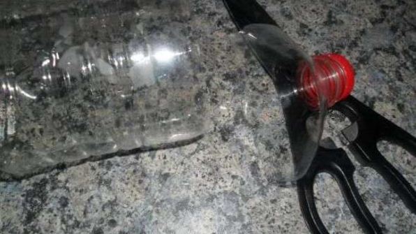 скумбрия домашнего посола