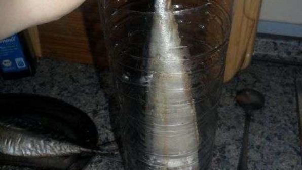 скумбрия домашнего посола