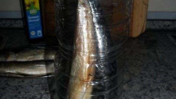 скумбрия домашнего посола