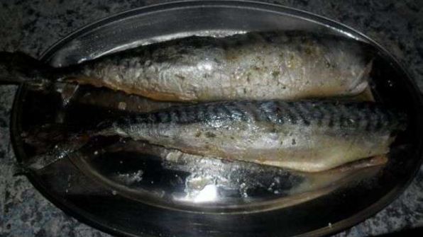 скумбрия домашнего посола