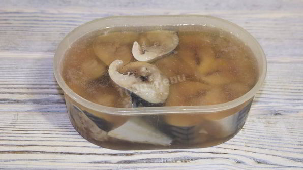 слабосоленая скумбрия