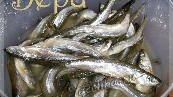 соленая корюшка