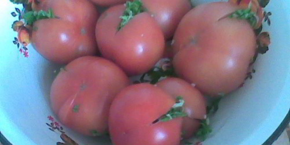 Рецепт соленых бурых помидоров