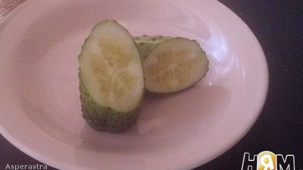 срочные малосольные огурцы