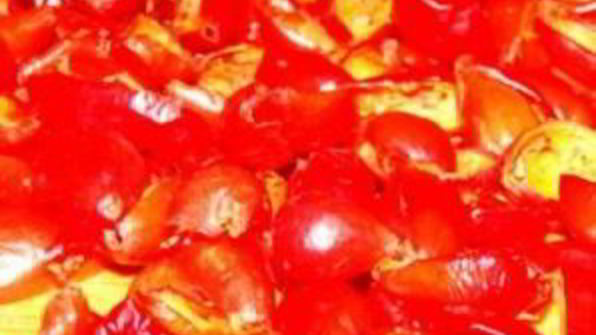 варенье из дикого шиповника