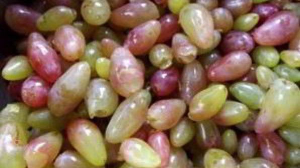 варенье из винограда с косточками