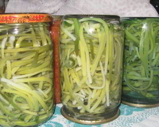 Заготовка черемши на зиму