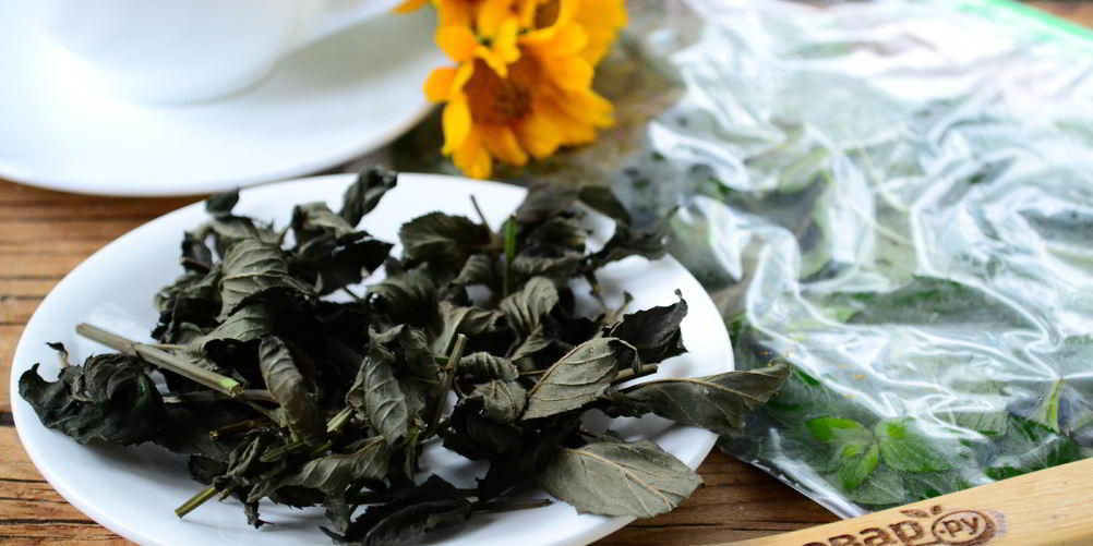 Рецепт заготовки мяты на зиму