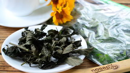 Заготовка мяты на зиму