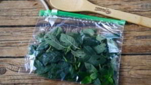 заготовка мяты на зиму