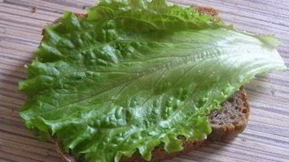 брускетта с грибами