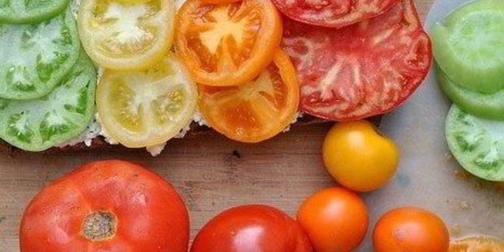 Рецепт брускетты с помидорами и творожной намазкой из базилика