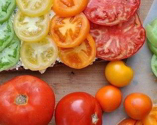 Брускетта с помидорами и творожной намазкой из базилика