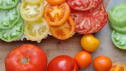 Брускетта с помидорами и творожной намазкой из базилика