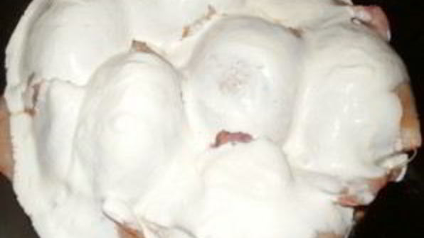 фаршированные кальмары с рисом и яйцом