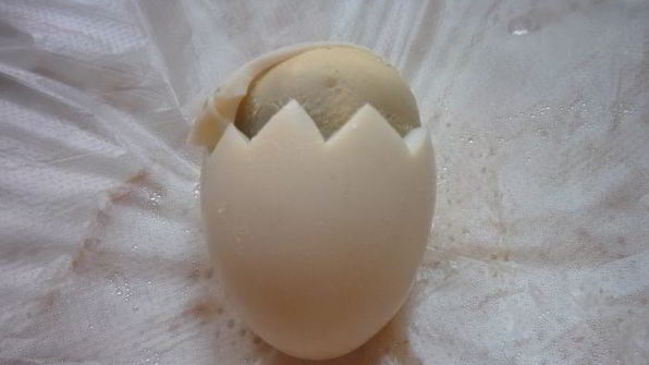 фаршированные яйца цыплята