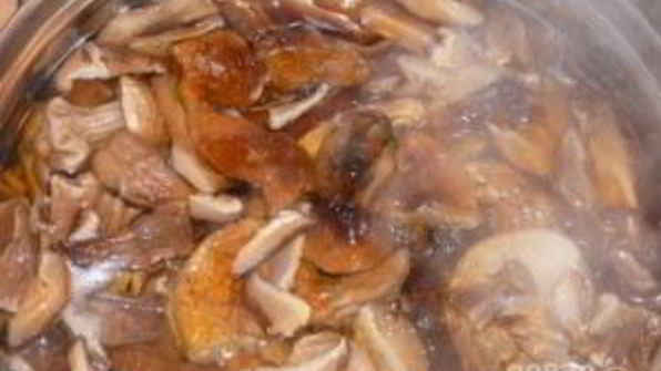 грибная икра из сушеных грибов