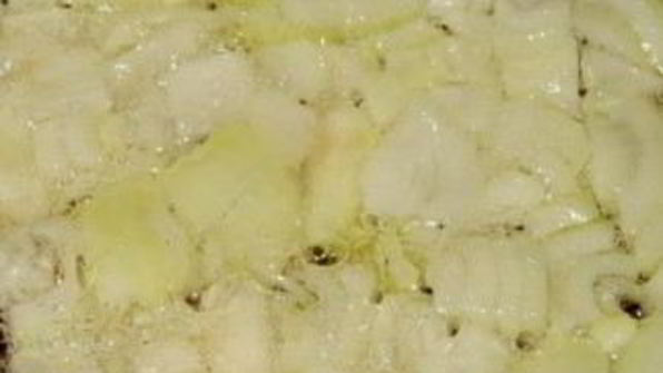 грибная икра из свежих грибов