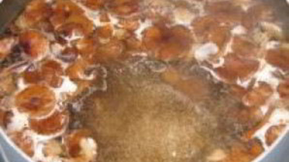 грибная икра