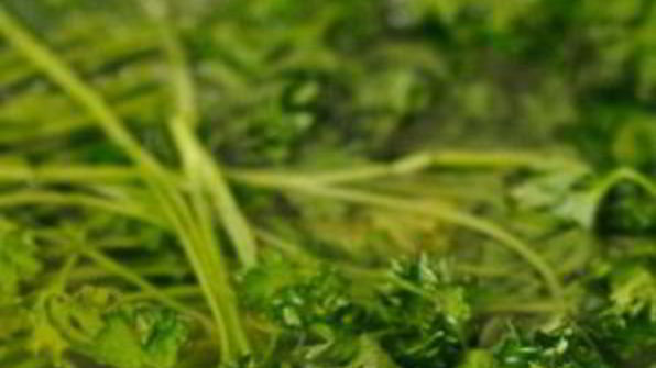 икра кабачковая с овощами