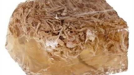 Говяжий холодец