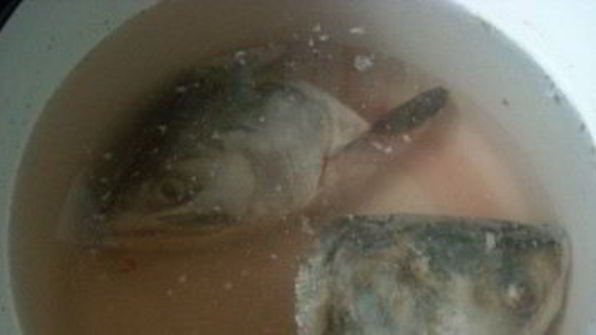 холодец из головы сома