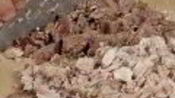 холодец из свинины и телятины