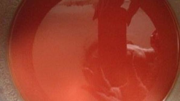 томатный холодец с белой рыбой