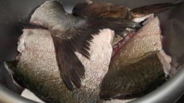 маринованный толстолобик