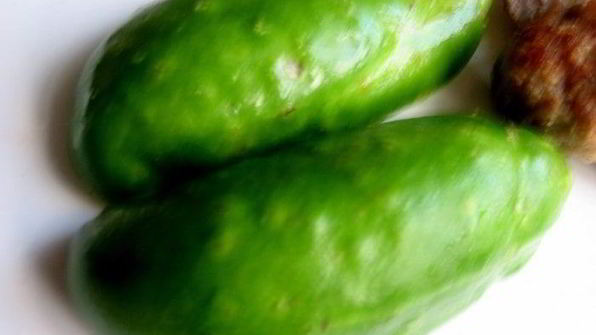 омлет с тефтельками мишка под одеялом