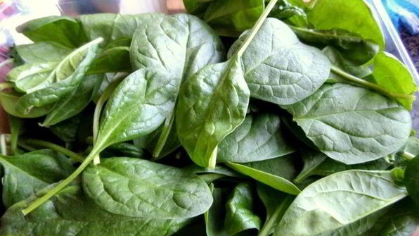 селедочный паштет на фасолевых котлетах