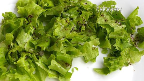 сырный паштет из цукини с миндалем