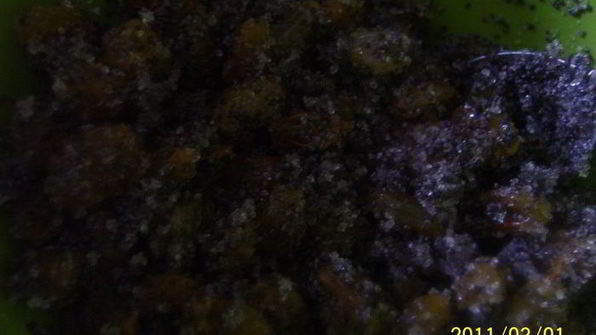 сдобный рулет с маковой начинкой