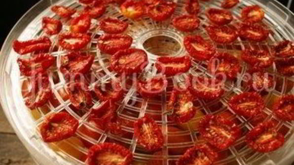 вяленые помидоры в электросушилке