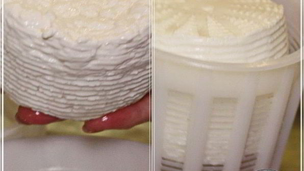 сыр халуми и анари из молока англо-нубийских коз