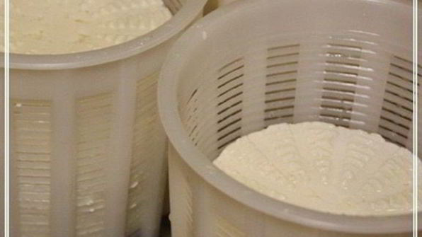 сыр халуми и анари из молока англо-нубийских коз