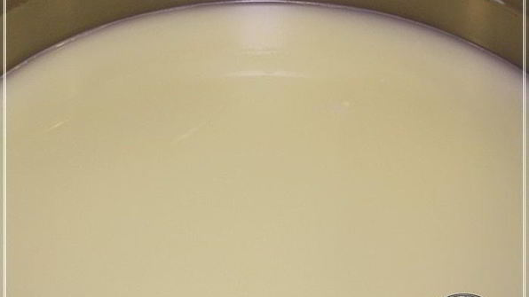 сыр халуми и анари из молока англо-нубийских коз