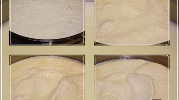 сыр халуми и анари из молока англо-нубийских коз