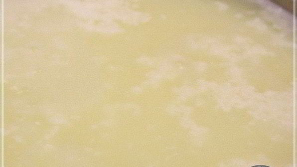 сыр халуми и анари из молока англо-нубийских коз