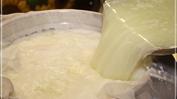 сыр халуми и анари из молока англо-нубийских коз