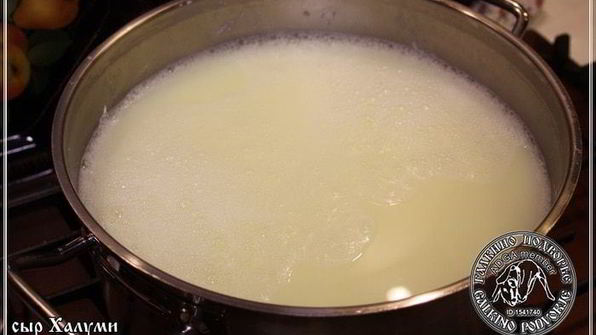 сыр халуми и анари из молока англо-нубийских коз